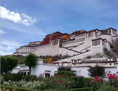 Lhasa 