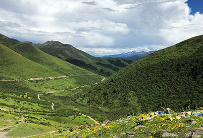 14 Days Sichuan-Shaanxi Nature Expedition