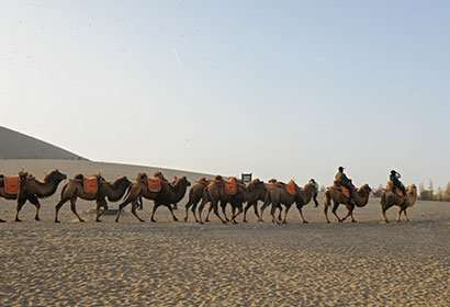  16 Days Epic Journey of Silk Road 